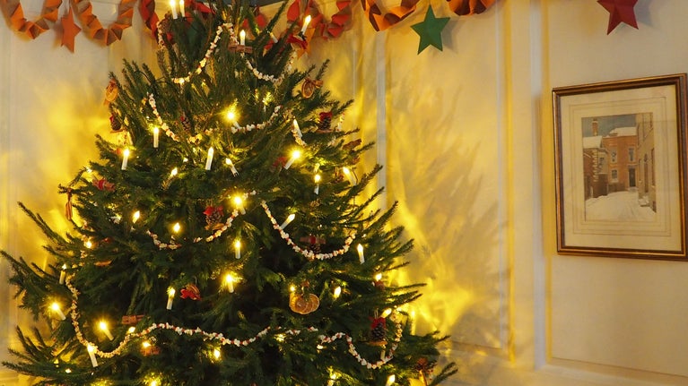 A Christmas Tree upon entering Lamb House